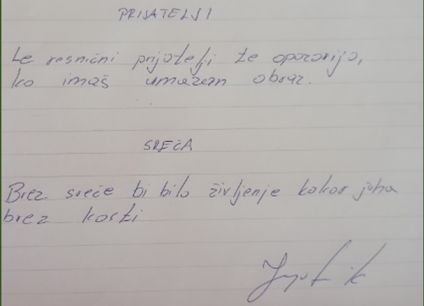 Teden pisanja z roko