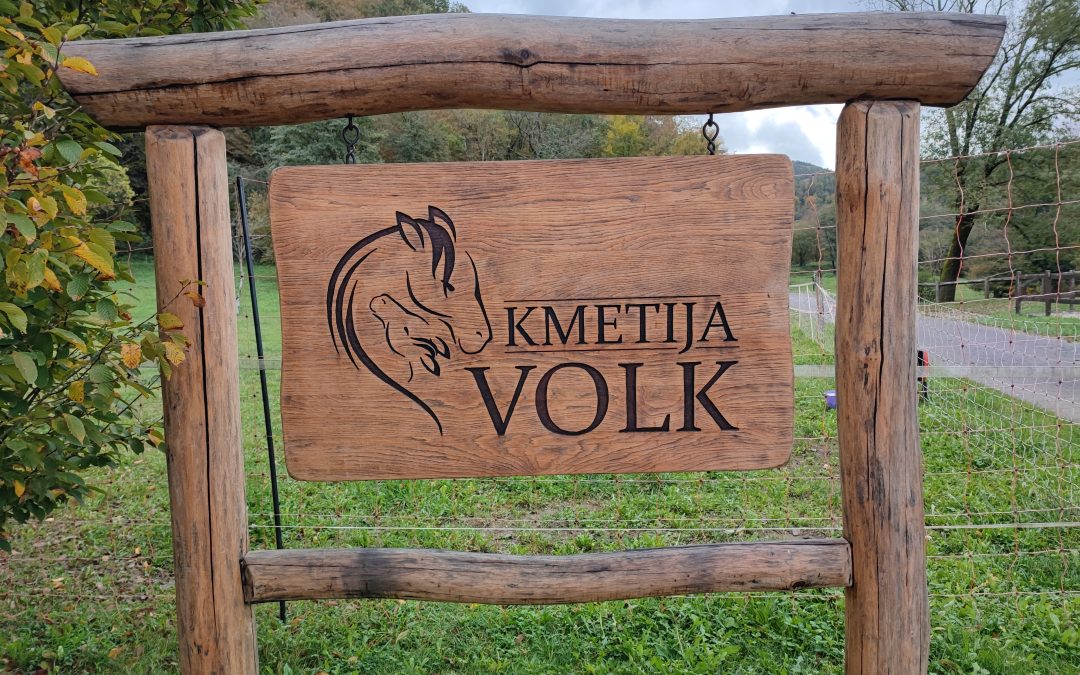 Obisk kmetije Volk