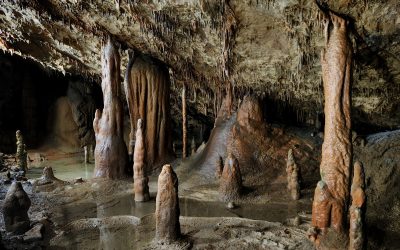 Škocjanske jame – naravoslovni dan