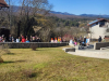 IMG_20250304_102733